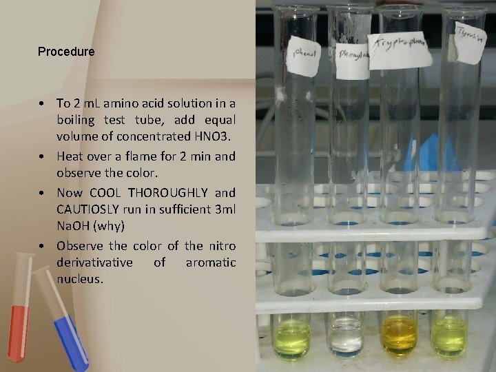 Procedure • To 2 m. L amino acid solution in a boiling test tube,