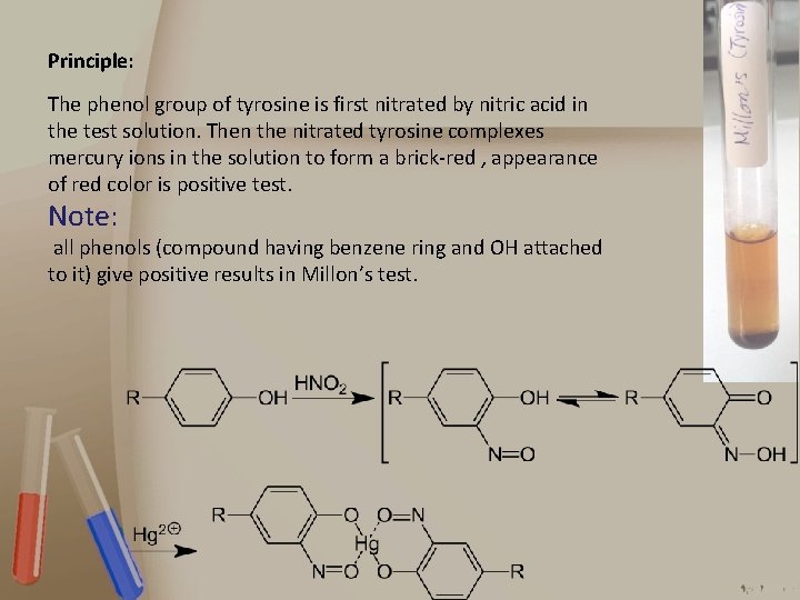 Principle: The phenol group of tyrosine is first nitrated by nitric acid in the