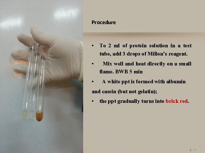 Procedure • To 2 ml of protein solution in a test tube, add 3