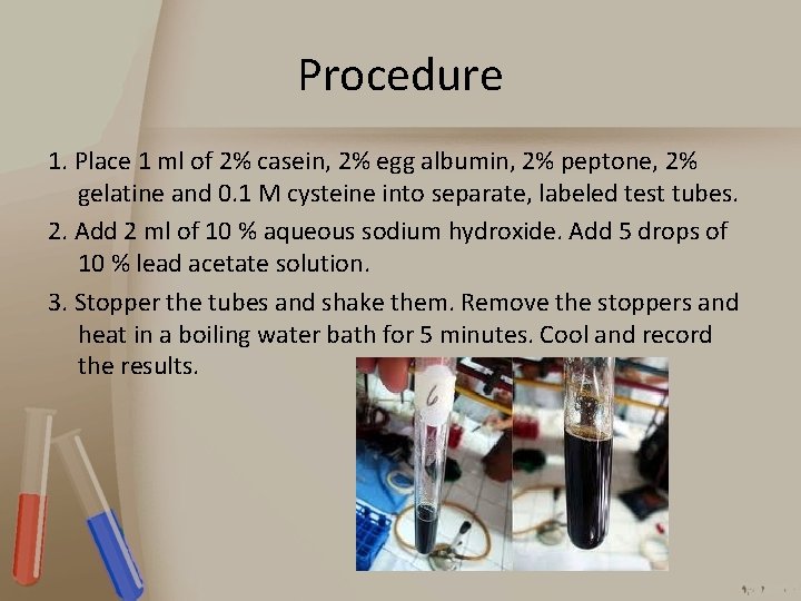 Procedure 1. Place 1 ml of 2% casein, 2% egg albumin, 2% peptone, 2%