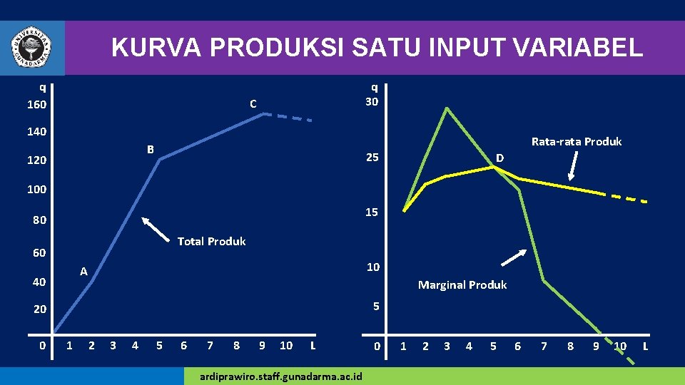 KURVA PRODUKSI SATU INPUT VARIABEL q 160 q 30 C 140 B 120 Rata-rata