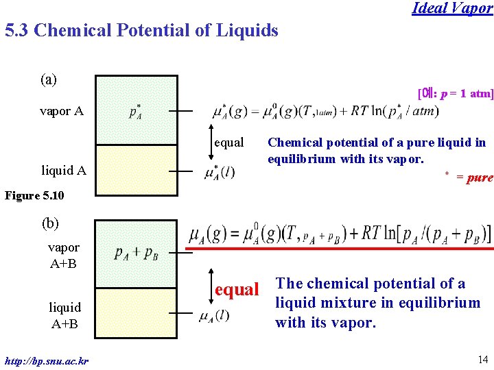 Ideal Vapor 5. 3 Chemical Potential of Liquids (a) [예: p = 1 atm]