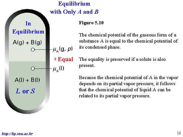Equilibrium with Only A and B In Equilibrium Figure 5. 10 The chemical potential