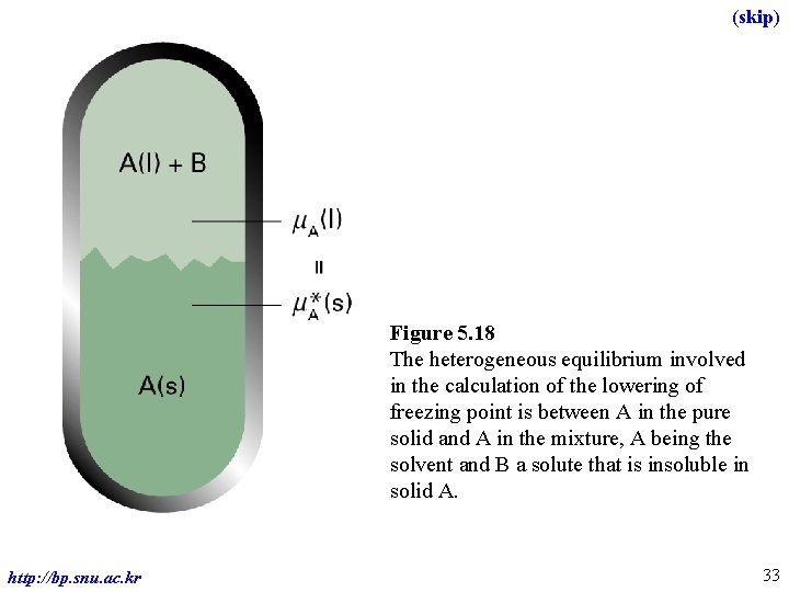 (skip) Figure 5. 18 The heterogeneous equilibrium involved in the calculation of the lowering