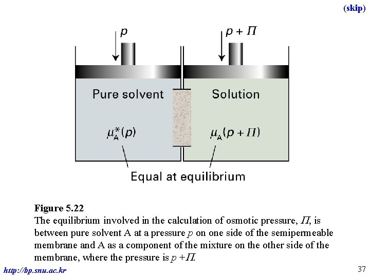 (skip) Figure 5. 22 The equilibrium involved in the calculation of osmotic pressure, P,