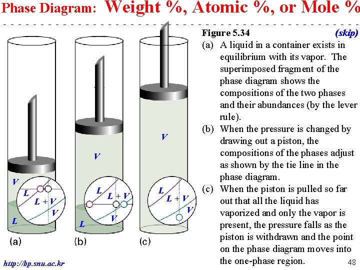 Phase Diagram: Weight %, Atomic %, or Mole % - - - - -