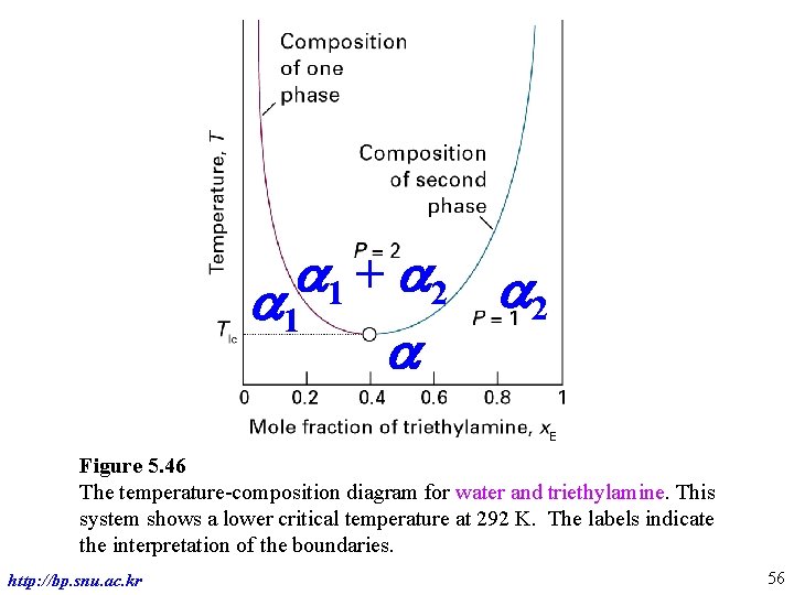 a + a 2 a 1 2 a Figure 5. 46 The temperature-composition diagram