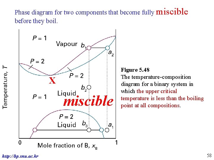 Phase diagram for two components that become fully miscible before they boil. X miscible
