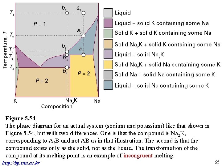 Figure 5. 54 The phase diagram for an actual system (sodium and potassium) like