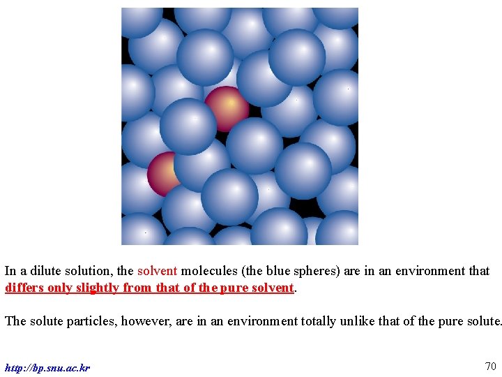 In a dilute solution, the solvent molecules (the blue spheres) are in an environment