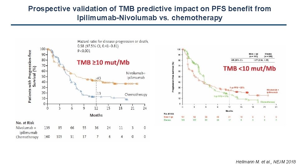 Prospective validation of TMB predictive impact on PFS benefit from Ipilimumab-Nivolumab vs. chemotherapy Hellmann