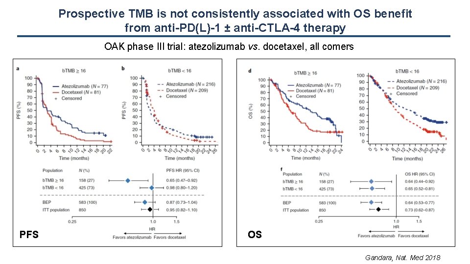 Prospective TMB is not consistently associated with OS benefit from anti-PD(L)-1 ± anti-CTLA-4 therapy