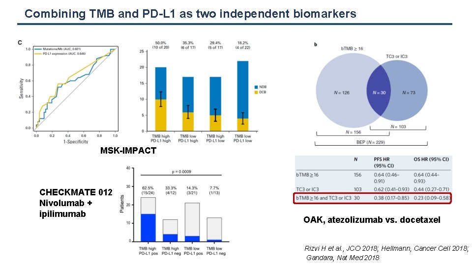 Combining TMB and PD-L 1 as two independent biomarkers MSK-IMPACT CHECKMATE 012 Nivolumab +