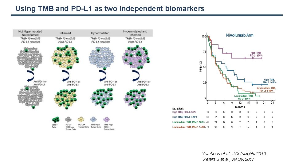 Using TMB and PD-L 1 as two independent biomarkers Yarchoan et al. , JCI