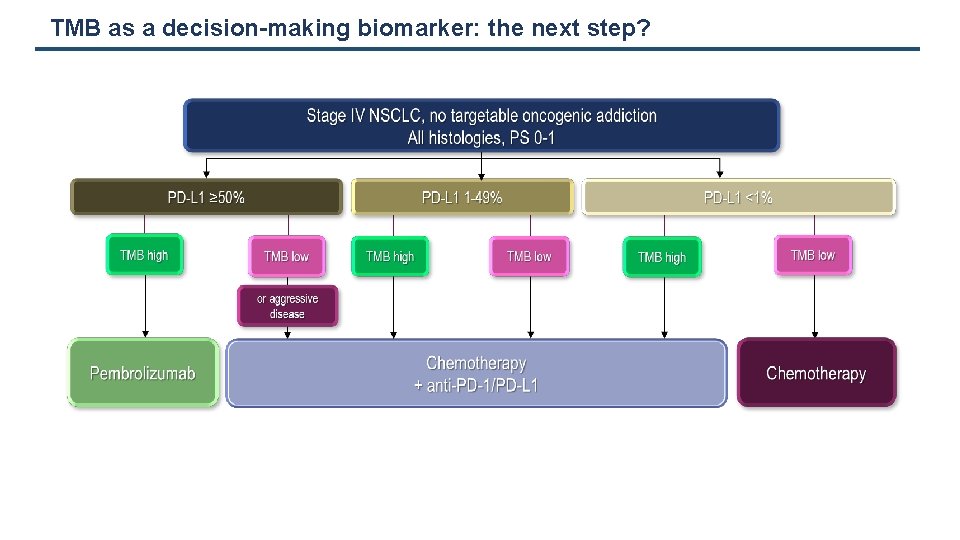 TMB as a decision-making biomarker: the next step? 