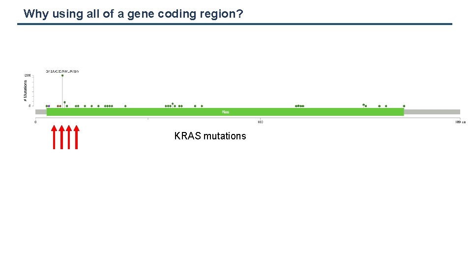 Why using all of a gene coding region? KRAS mutations 