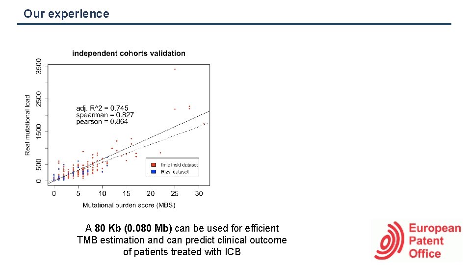 Our experience A 80 Kb (0. 080 Mb) can be used for efficient TMB