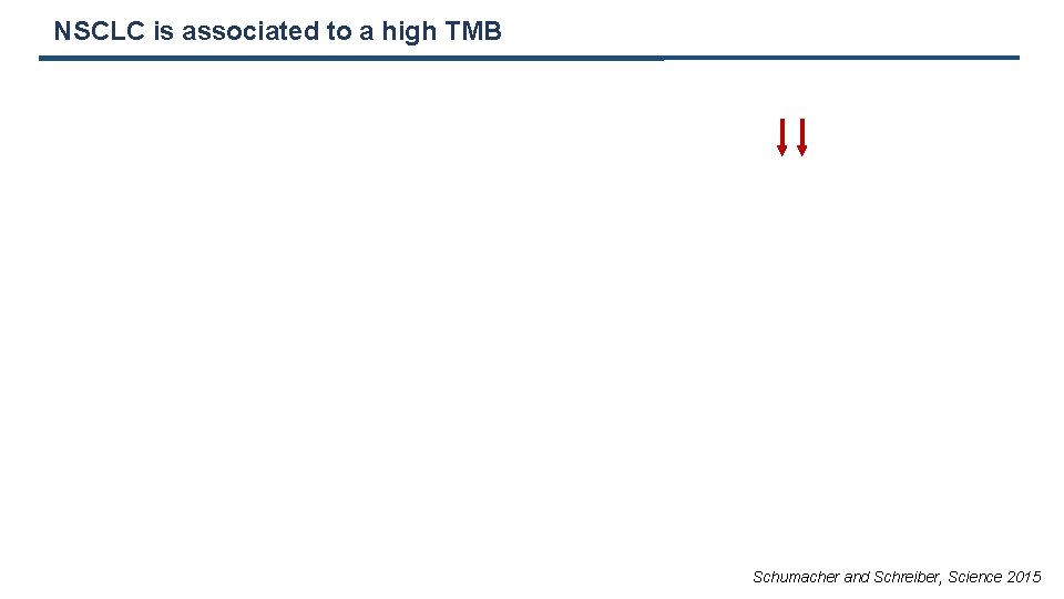 NSCLC is associated to a high TMB Schumacher and Schreiber, Science 2015 