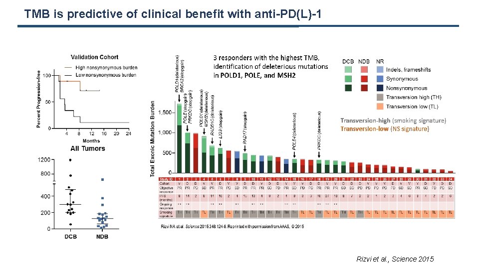 TMB is predictive of clinical benefit with anti-PD(L)-1 Rizvi et al. , Science 2015