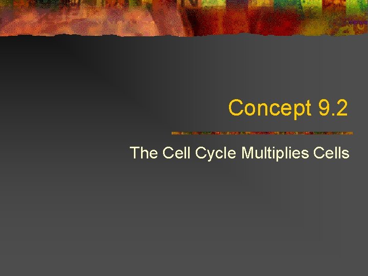 Concept 9. 2 The Cell Cycle Multiplies Cells 