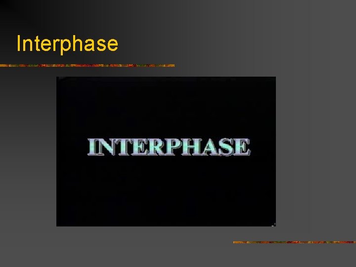 Interphase 