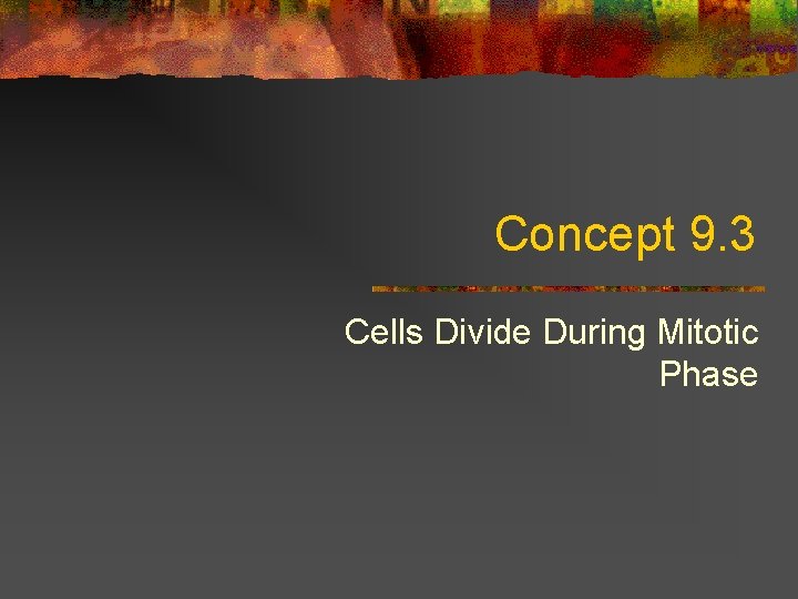 Concept 9. 3 Cells Divide During Mitotic Phase 