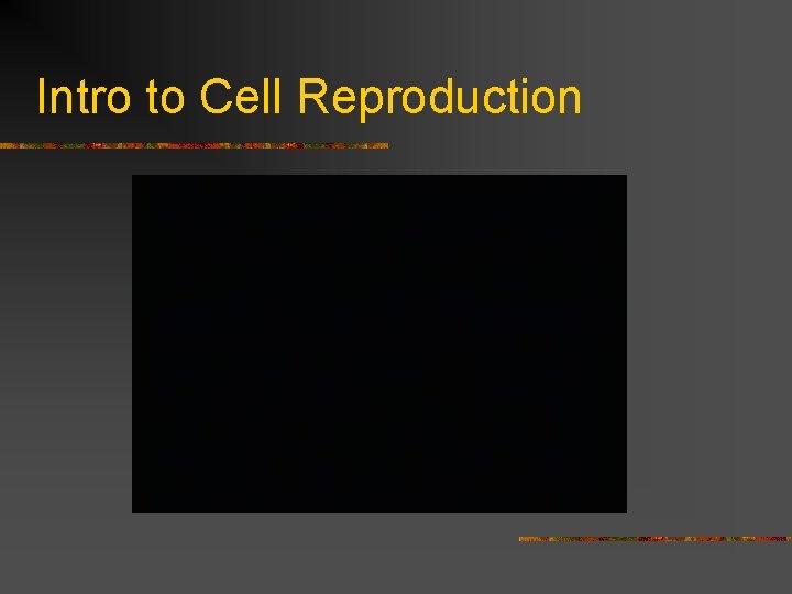 Intro to Cell Reproduction 