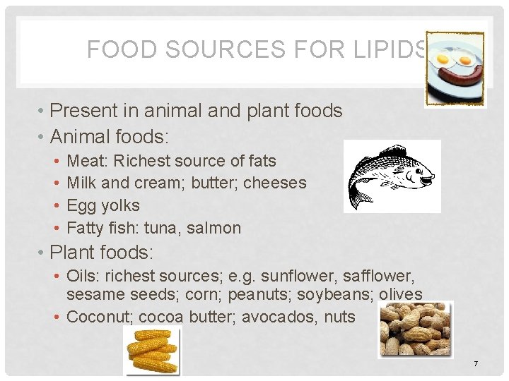 FOOD SOURCES FOR LIPIDS • Present in animal and plant foods • Animal foods: