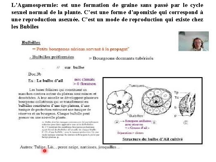 L’Agamospermie: est une formation de graine sans passé par le cycle sexuel normal de