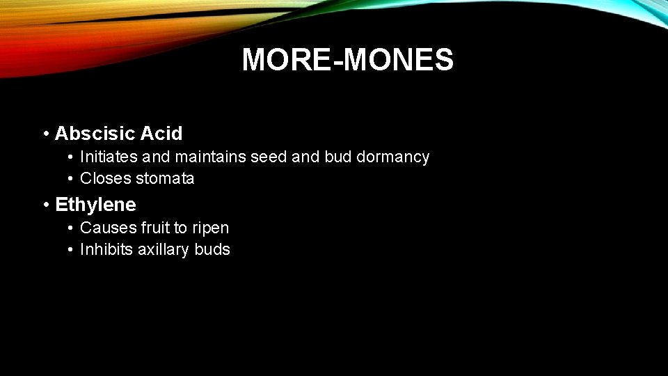 MORE-MONES • Abscisic Acid • Initiates and maintains seed and bud dormancy • Closes