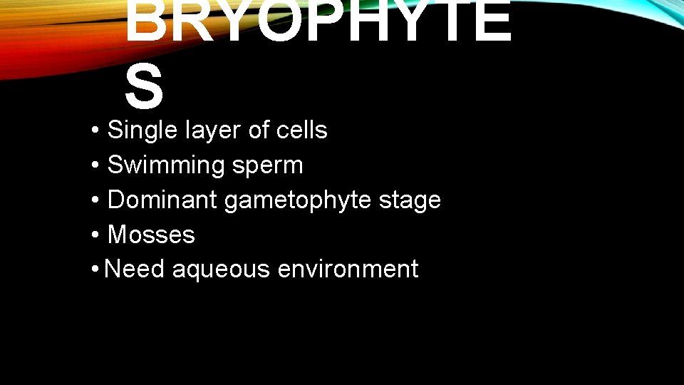 BRYOPHYTE S • Single layer of cells • Swimming sperm • Dominant gametophyte stage