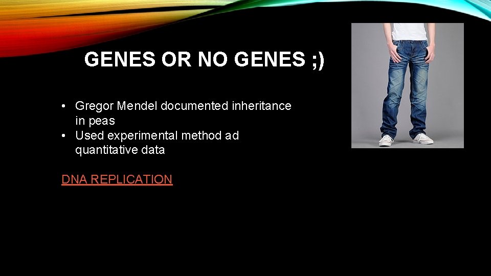 GENES OR NO GENES ; ) • Gregor Mendel documented inheritance in peas •