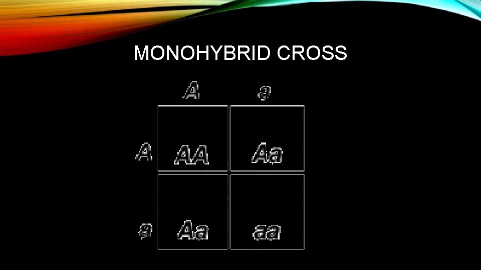 MONOHYBRID CROSS 