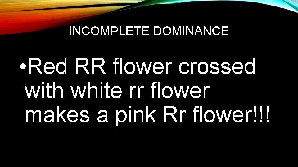INCOMPLETE DOMINANCE • Red RR flower crossed with white rr flower makes a pink