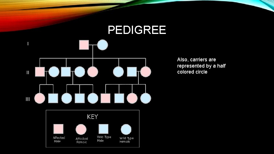 PEDIGREE Also, carriers are represented by a half colored circle 