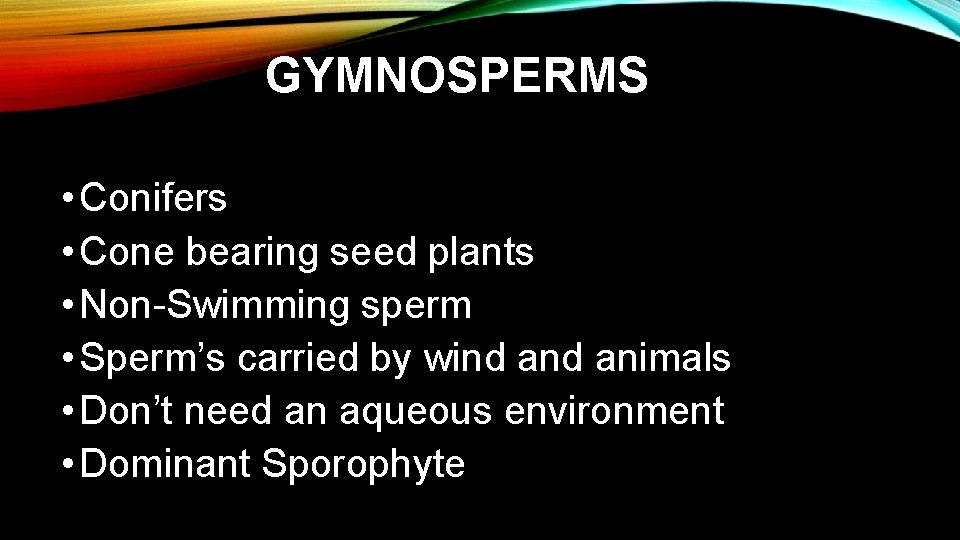 GYMNOSPERMS • Conifers • Cone bearing seed plants • Non-Swimming sperm • Sperm’s carried