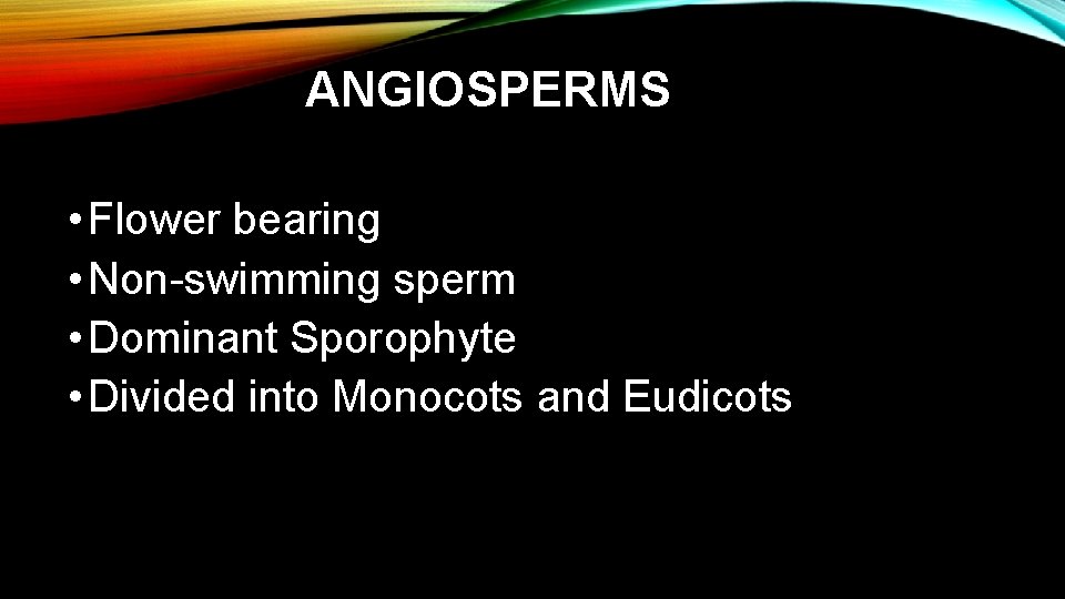 ANGIOSPERMS • Flower bearing • Non-swimming sperm • Dominant Sporophyte • Divided into Monocots