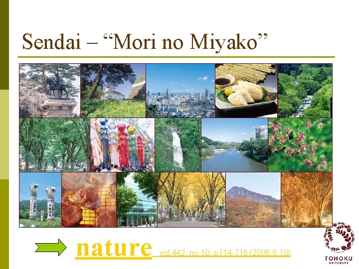 Sendai – “Mori no Miyako” nature vol. 442, no. 10, p 714 -716 (2006.