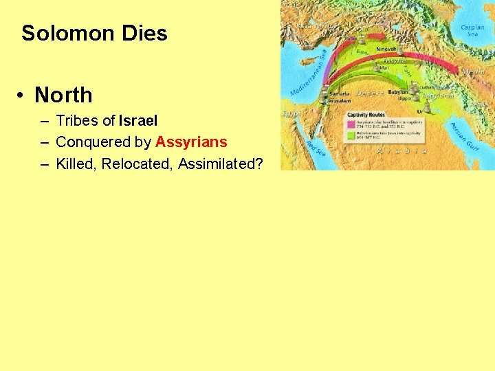 Solomon Dies • North – Tribes of Israel – Conquered by Assyrians – Killed, Solomon Dies • North – Tribes of Israel – Conquered by Assyrians – Killed,