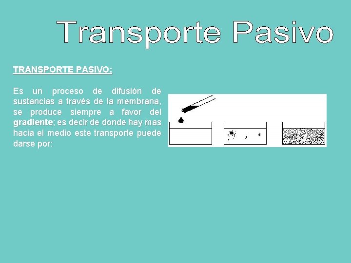 TRANSPORTE PASIVO: Es un proceso de difusión de sustancias a través de la membrana,