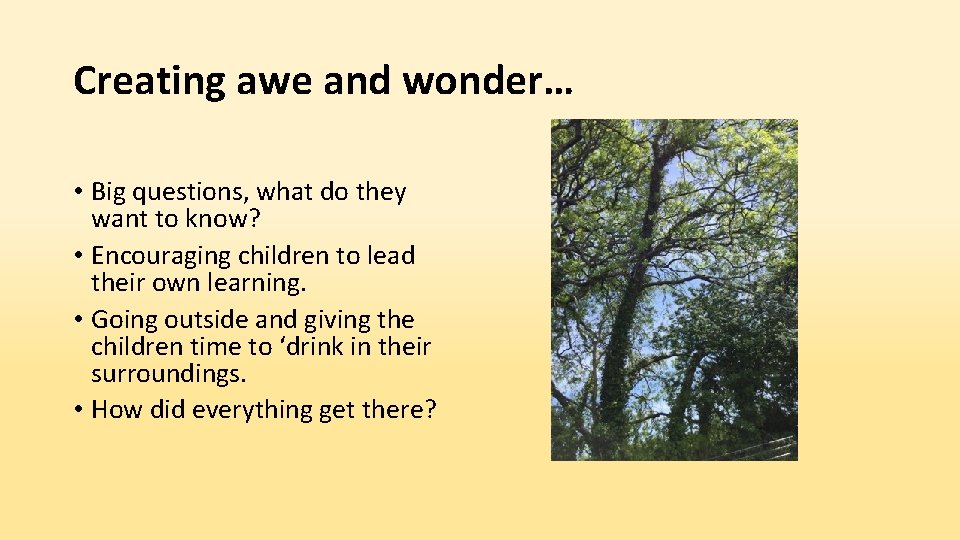 Creating awe and wonder… • Big questions, what do they want to know? •