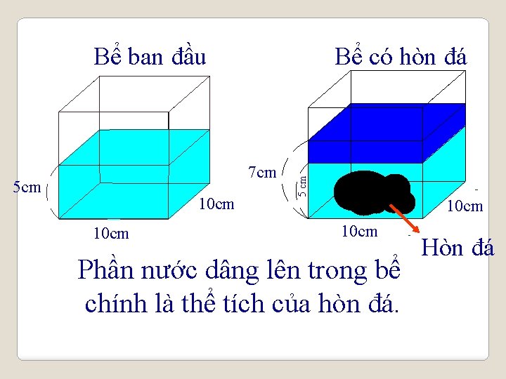 Bể có hòn đá 7 cm 5 cm 10 cm 5 cm Bể ban