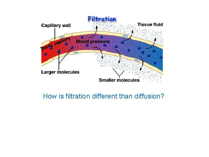 How is filtration different than diffusion? 