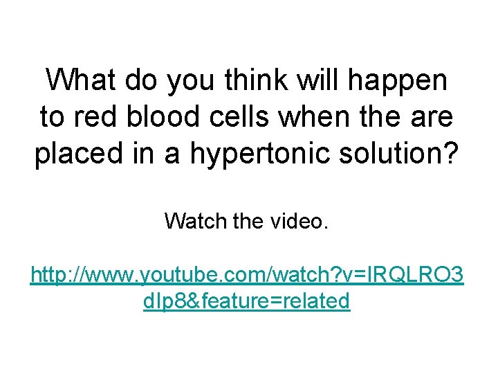 What do you think will happen to red blood cells when the are placed