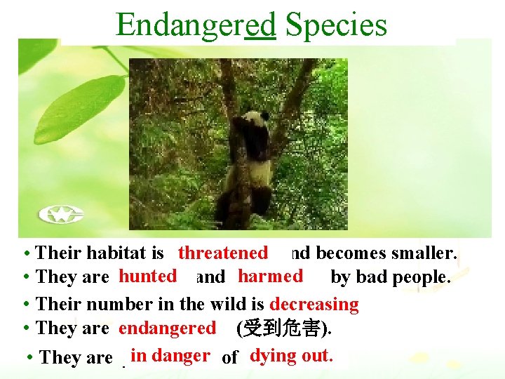 Endangered What problems do Species they face? • Their habitat is t_______ threatened and