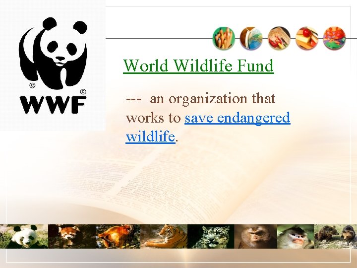 World Wildlife Fund --- an organization that works to save endangered wildlife. 