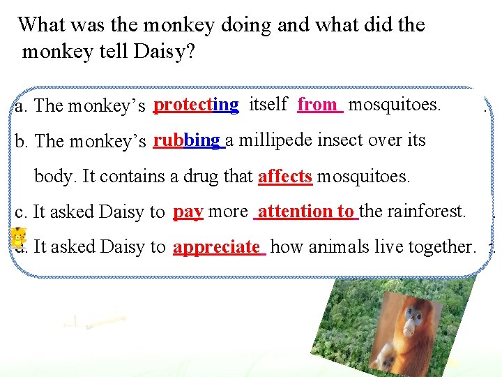 What was the monkey doing and what did the monkey tell Daisy? protecting itself