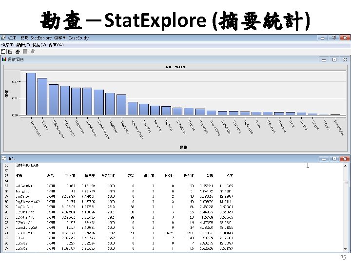 勘查－Stat. Explore (摘要統計) 75 