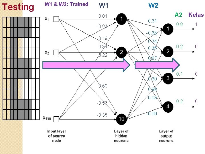 Testing W 1 & W 2: Trained W 1 0. 01 W 2 0.