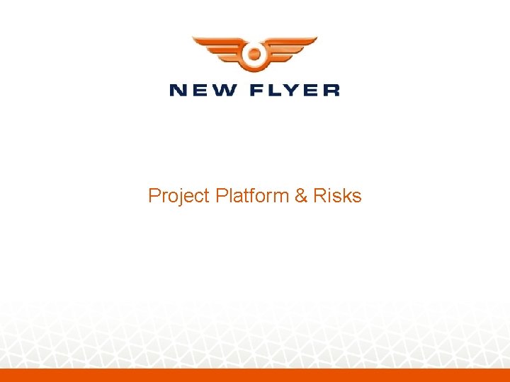 Project Platform & Risks 